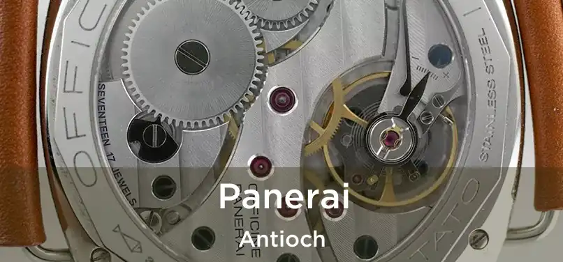 Panerai Antioch