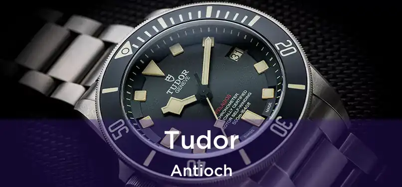 Tudor Antioch